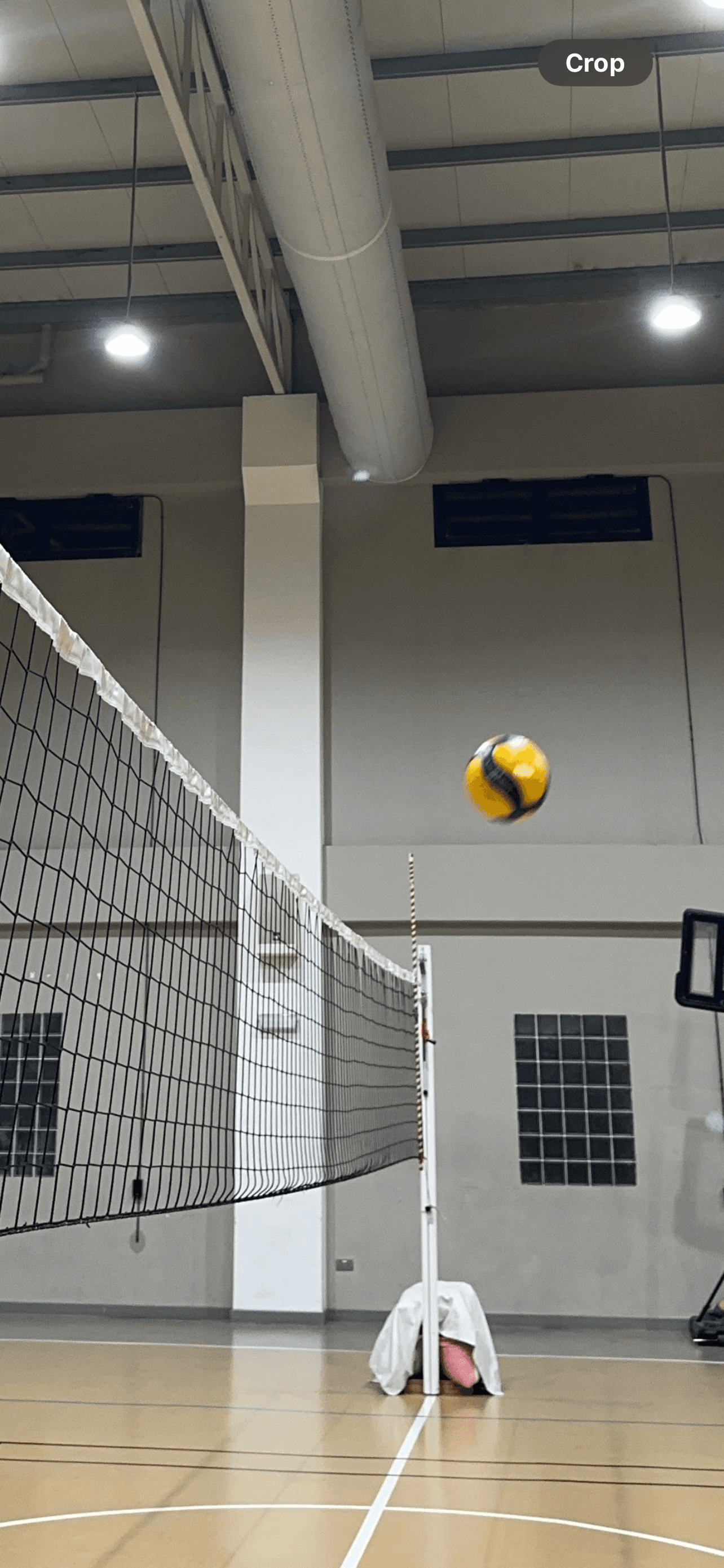 Volleyball court